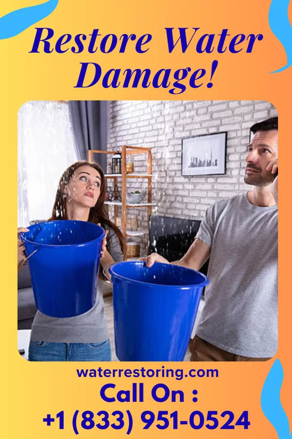 water restoration Titan Sewage Cleanup Contractors Napeague