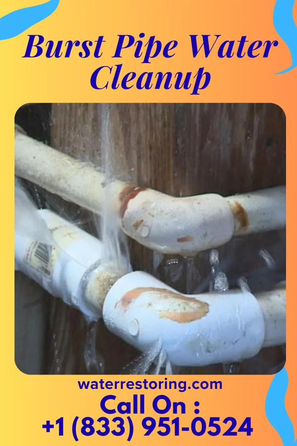 Burst Pipe Water Cleanup in Napeague, NY