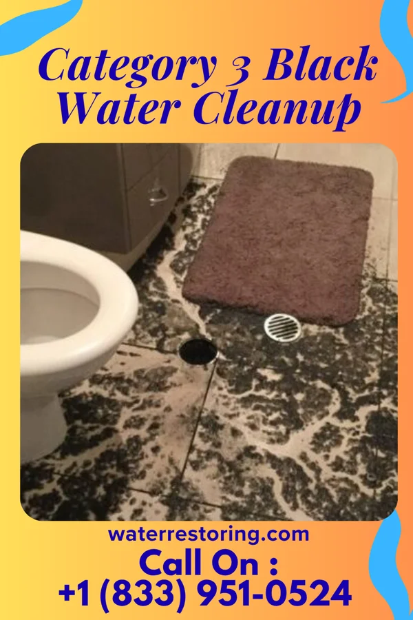 Category 3 Black Water Cleanup in Napeague, NY