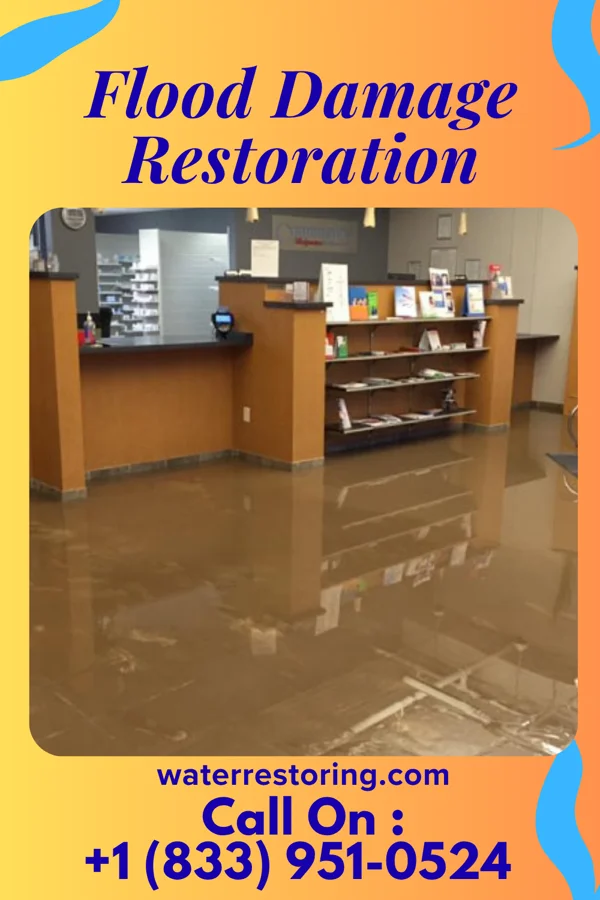 Flood Damage Restoration in Napeague, NY