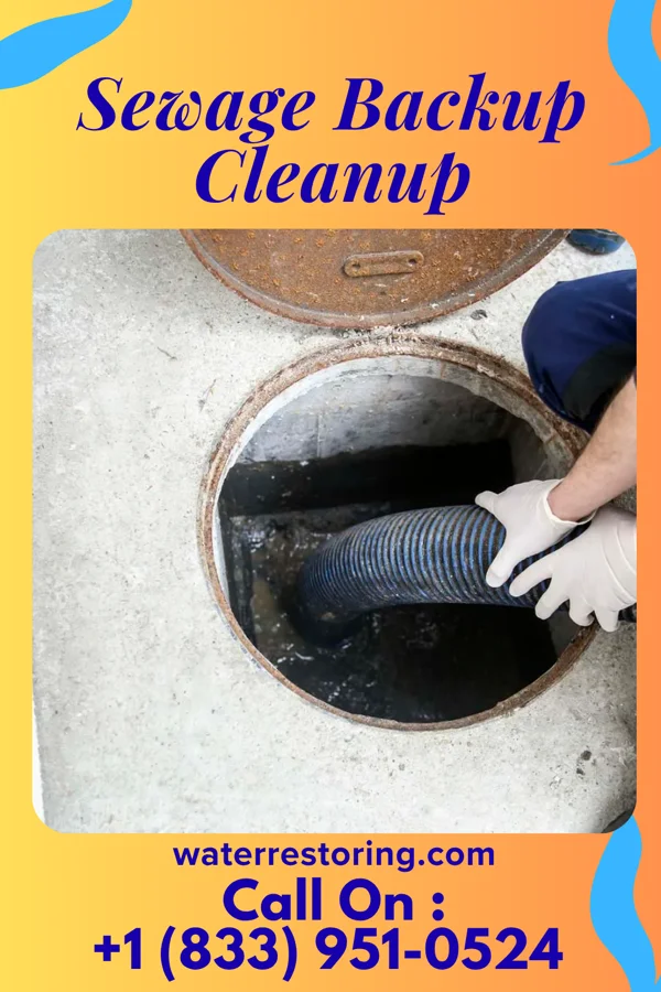Sewage Backup Cleanup in Napeague, NY