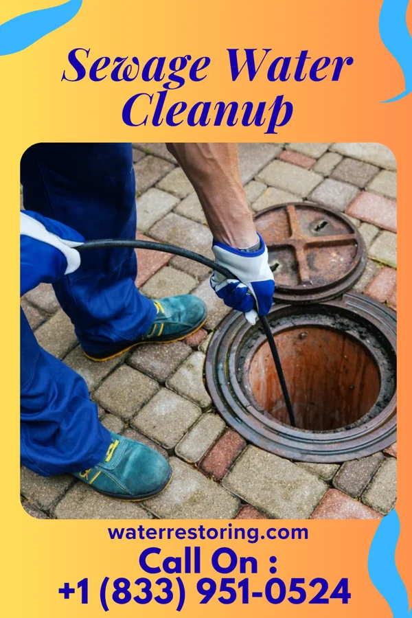Sewage Water Cleanup in Napeague, NY